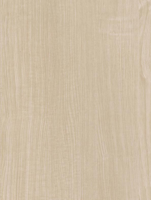 Pale Grey Maple