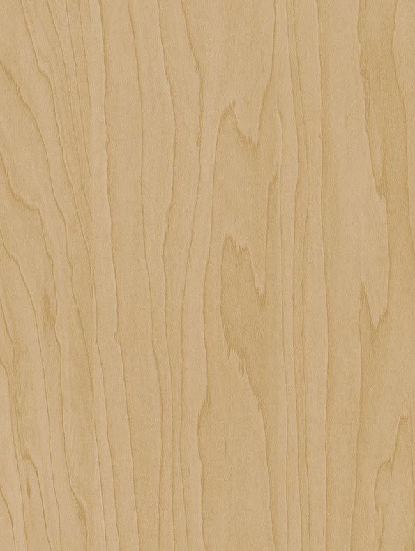 Gold Beige Birch