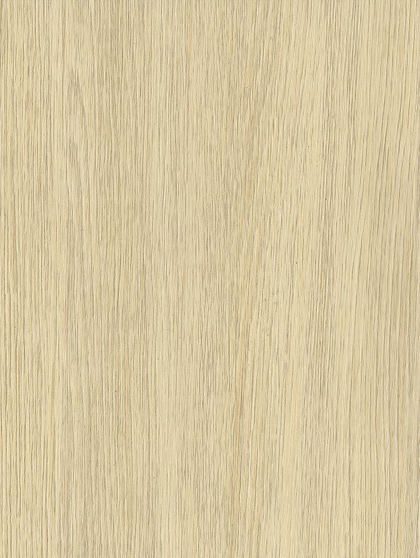 Ivory Oak